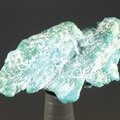 Turquoise Healing Crystal (Sleeping Beauty Mine)  ~37mm
