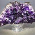 Ultra Grade Amethyst Cluster ~100 x 50mm