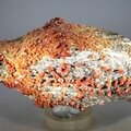 Vanadinite Mineral Specimen ~130mm