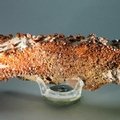 Vanadinite Mineral Specimen ~137mm