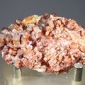 Vanadinite on Baryte Healing Mineral (Morocco) ~50mm