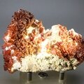 Vanadinite on Baryte Healing Mineral (Morocco) ~85mm