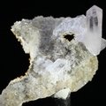 Vera Cruz Amethyst Crystal Group ~35mm