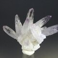 Vera Cruz Amethyst Crystal Group ~37mm