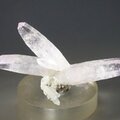 Vera Cruz Amethyst Crystal Group ~55mm