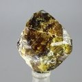 Vesuvianite Healing Crystal ~25mm