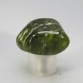 Vesuvianite (Idocrase) Tumblestone ~35mm