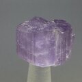 Violet Scapolite Healing Crystal ~21mm