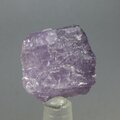 Violet Scapolite Healing Crystal ~22mm
