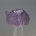Violet Scapolite Healing Crystal ~22mm