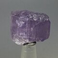 Violet Scapolite Healing Crystal ~25mm