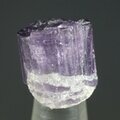 Violet Scapolite Healing Crystal (Extra Grade) ~16mm