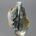 Vivianite Healing Crystal ~27mm