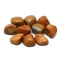 Walnut Jasper Tumble Stones (20-25mm)