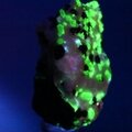 Willemite, Franklinite & Zincite Healing Mineral ~33mm