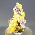 Wulfenite Healing Mineral ~38mm