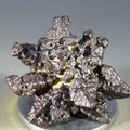 Z-Stone ~28mm