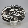 Zebra Jasper Palmstone