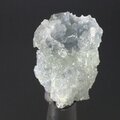 Zincite Crystal Cluster ~25mm
