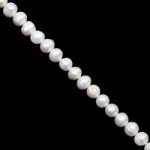 Freshwater Pearl Beads - 9mm Cream