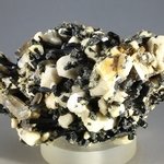 Aegirine & Orthoclase Mineral Specimen ~65mm