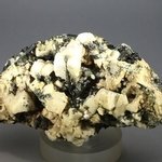 Aegirine & Orthoclase Mineral Specimen ~ 84mm