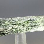 Aegirine Healing Crystal ~47mm