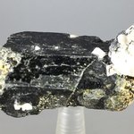Aegirine Healing Crystal ~52mm