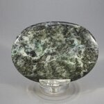 African Jade & Pyrite Palm Stone (Extra Grade) ~70x50mm
