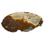 Agate Slice - Brown and Carnelian ~300mm