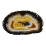 Agate Slice - Carnelian centre with grey/black banded edge ~165mm