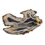 Agate Slice - Blue/Grey with carnelian flecks ~180mm