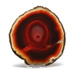 Agate Slice - Carnelian ~ 136mm