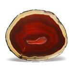 Agate Slice - Carnelian  ~ 145mm
