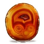 Agate Slice - Carnelian ~ 140mm