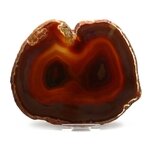 Agate Slice - Carnelian ~ 140mm