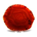Agate Slice - Carnelian ~ 150mm