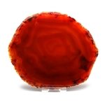 Agate Slice - Carnelian ~ 150mm