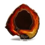Agate Slice - Carnelian ~ 140mm
