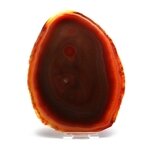 Agate Slice - Carnelian ~ 145mm