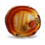 Agate Slice - Carnelian ~ 140mm