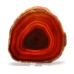 Agate Slice - Carnelian ~ 135mm