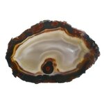 Agate Slice - Grey centre with carnelian and black edge ~380mm