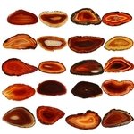 Agate Slice Natural - Pack of 20