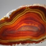Agate Slice -  Red/Brown ~165mm