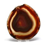 Agate Slice - Carnelian ~ 135mm