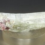 Agrellite & Eudialyte Healing Mineral ~45mm