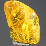 Amber Tumblestone ~27mm
