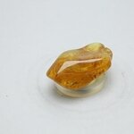 Amber Tumblestone ~28mm