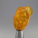 Amber Tumblestone ~31mm